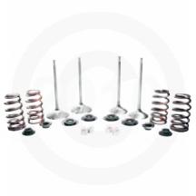 Viper Premium Valve Train Upgrades